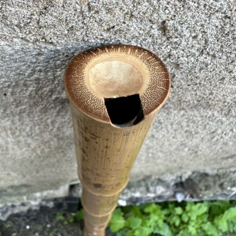 8 Holes Chinese Vertical Bambo - Shakuhachi Bamboo Flute บทวิจารณ์และราคา
