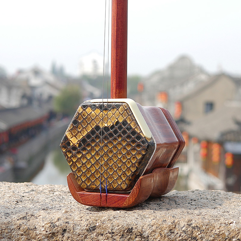 Professional Dunhuang Brand 06 - Musical Instrument Brands บทวิจารณ์และราคา