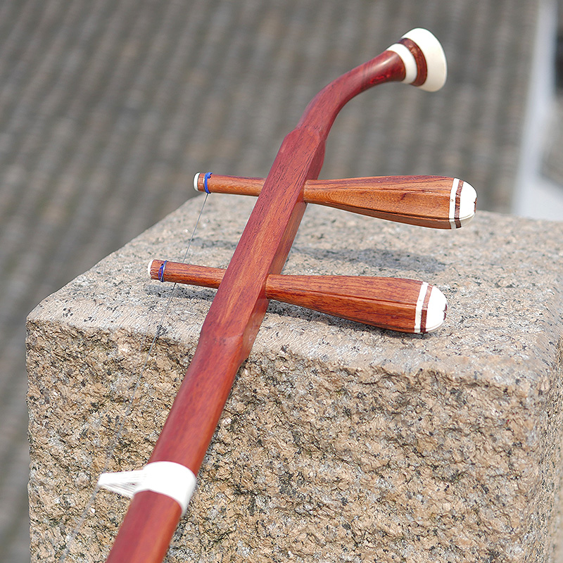 Professional Dunhuang Brand 06 - Musical Instrument Brands บทวิจารณ์และราคา